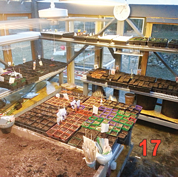 GreenhouseBuild17